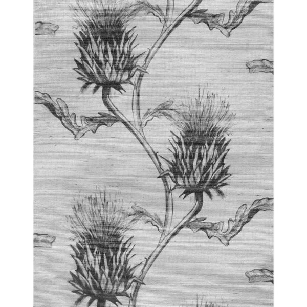 #charcoal